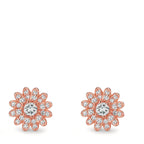 599608_a