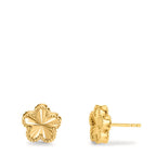 Clous d'oreilles Argent jaune Plaqué or Fleur Ø10 mm