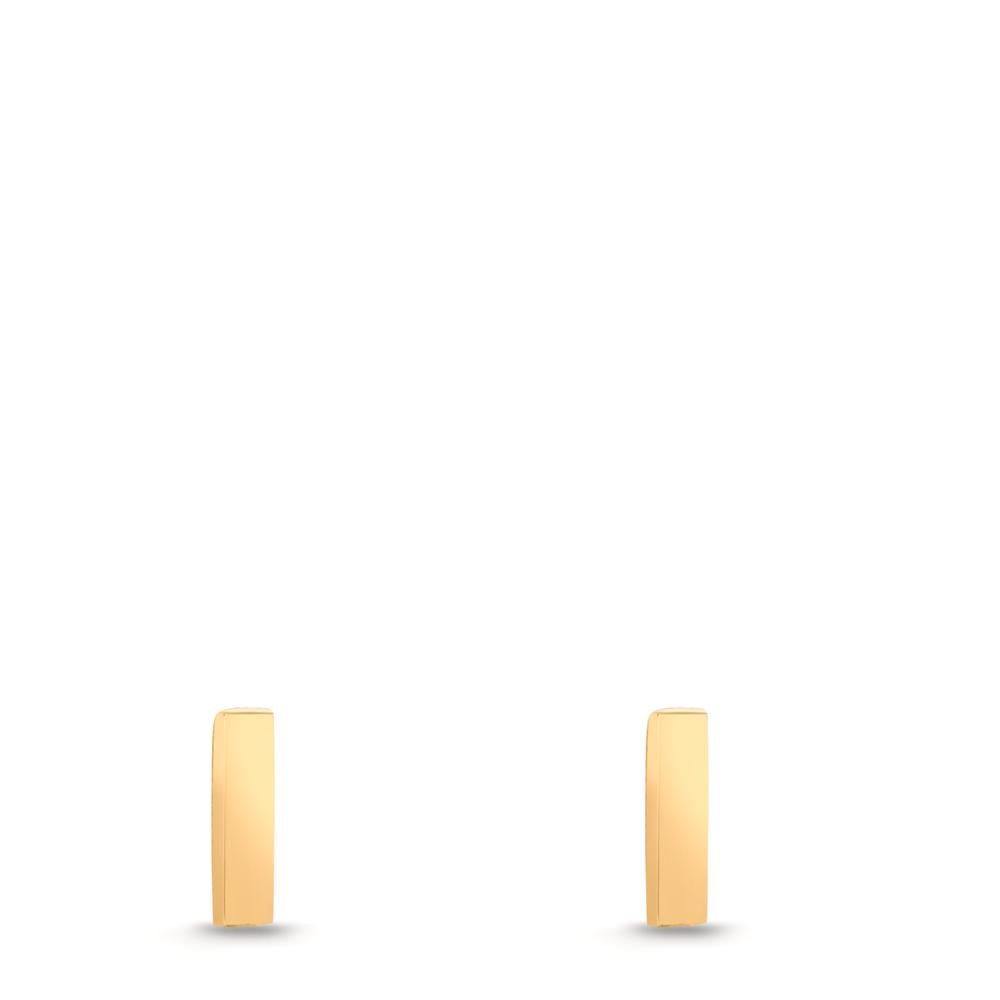 Clous d'oreilles Or jaune 9K