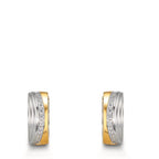 Créoles à charnières Acier inoxydable Zircone blanc, 24 Pierres bicolore PVD
