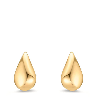 Clous d'oreilles Or jaune 9K